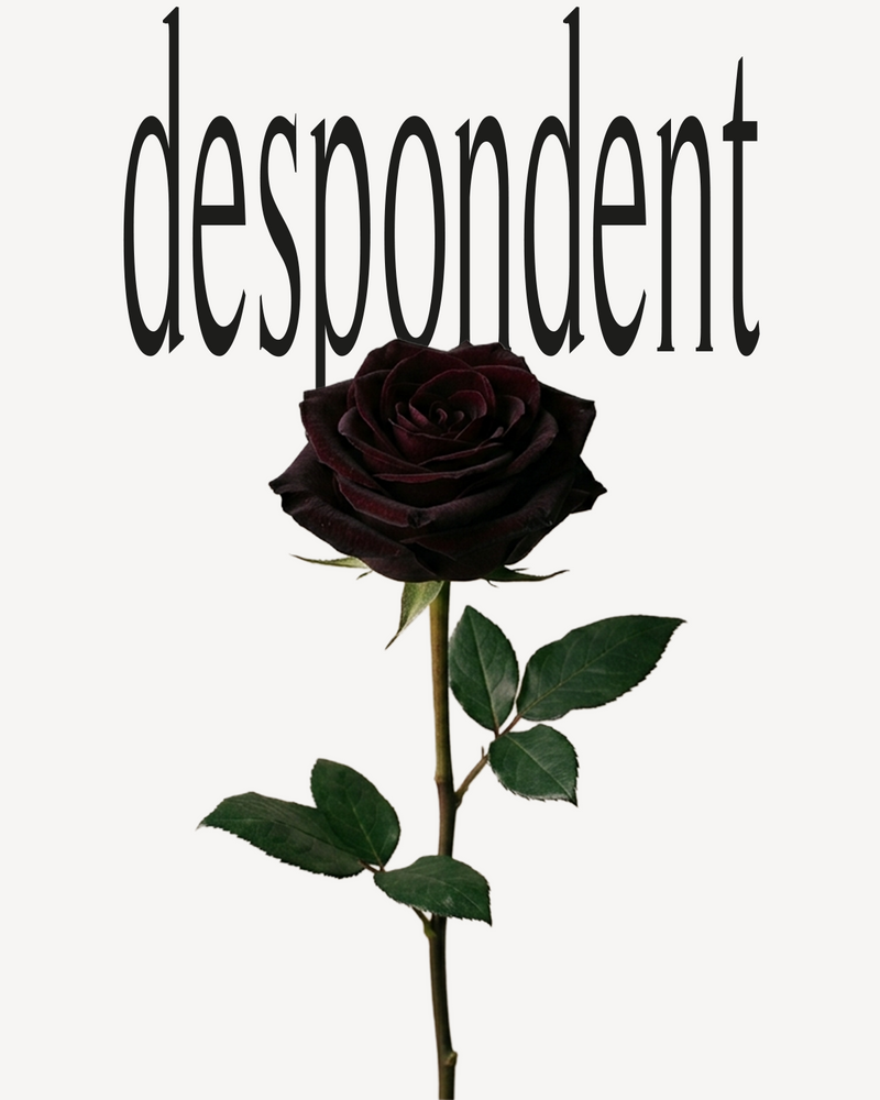 DESPONDENT